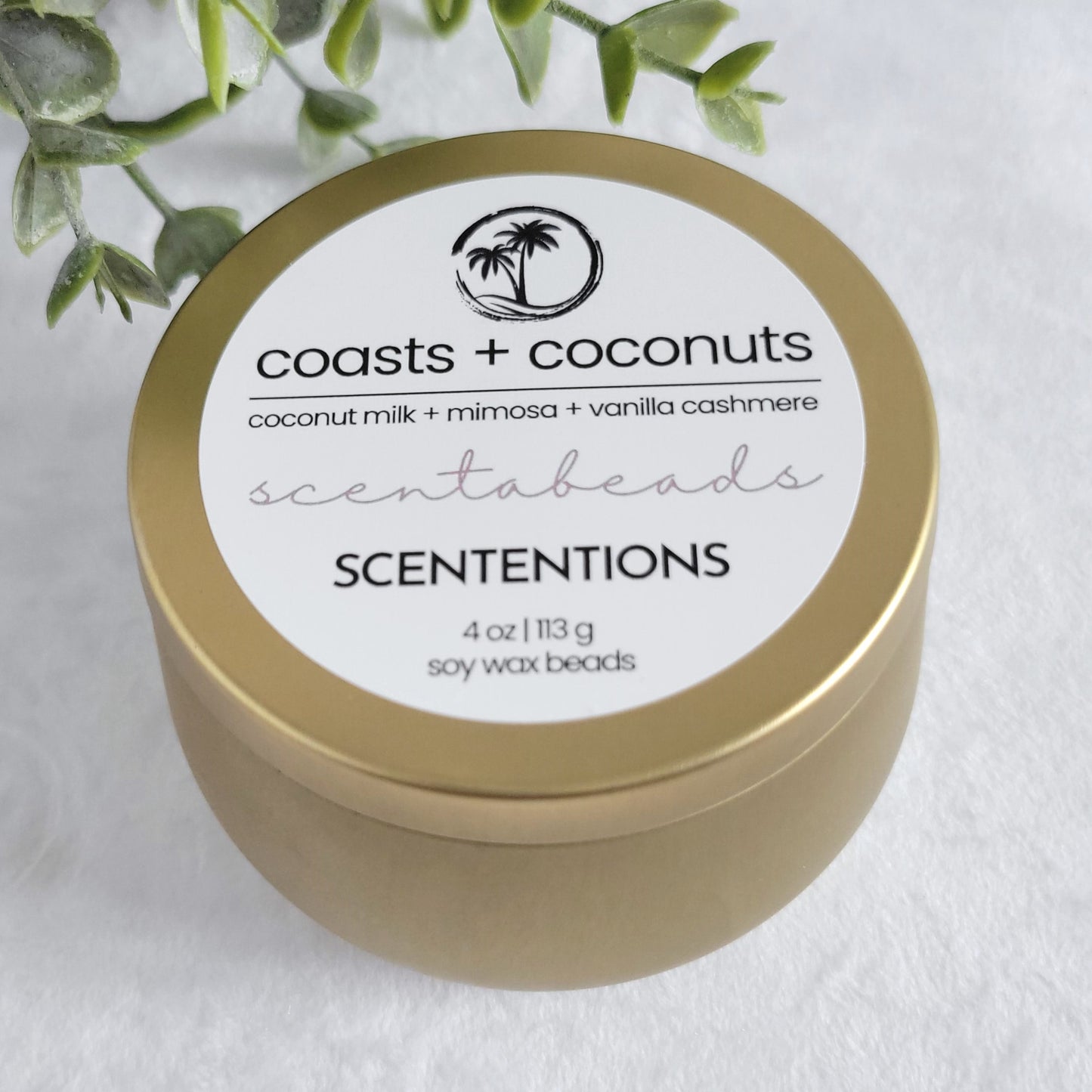 Coasts + Coconuts soy wax melt beads with Coconut Milk, Mimosa, and Vanilla for a tropical, calming aroma