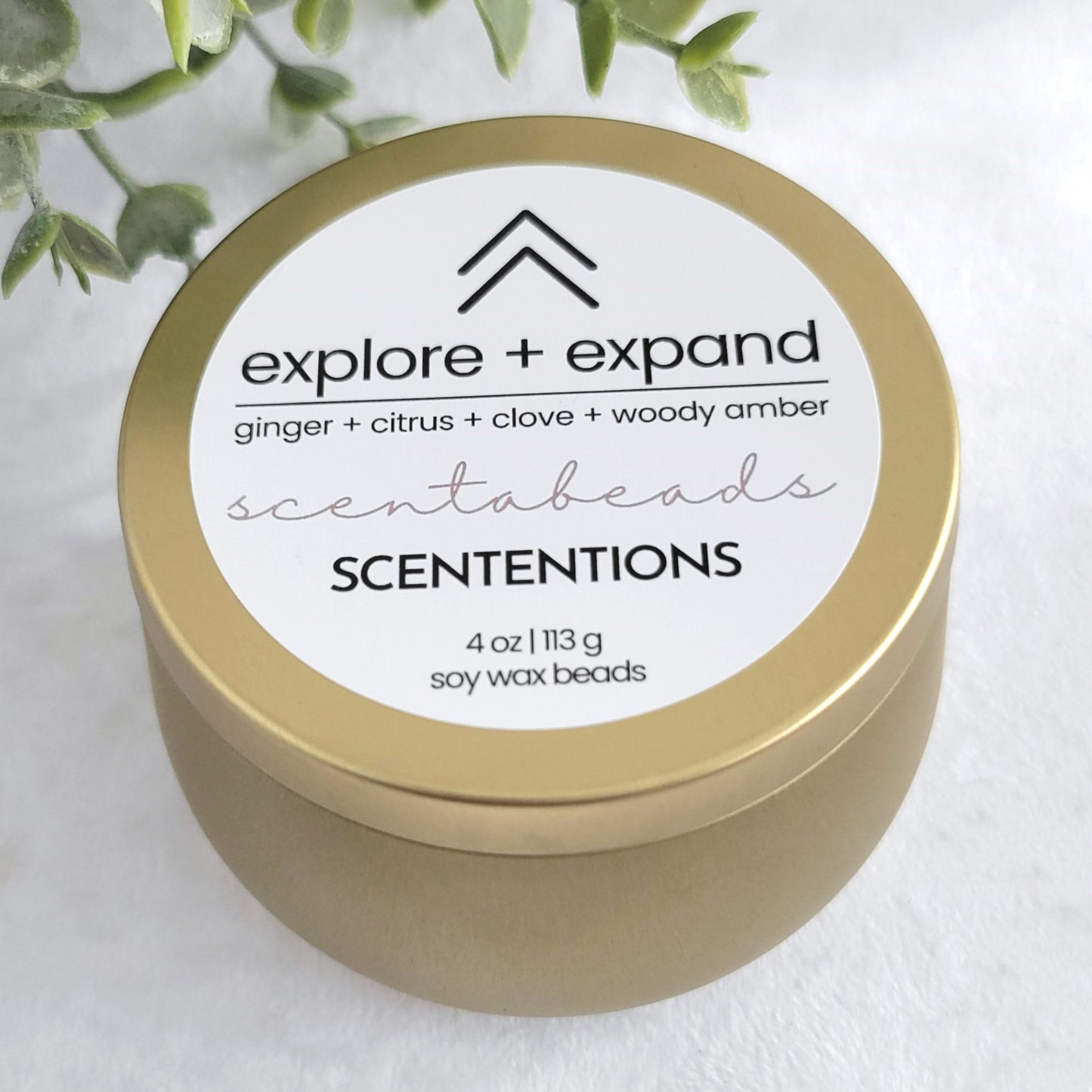 Explore + Expand wax melt beads in eco-friendly tin with bold, invigorating scent blend and wooden scoop