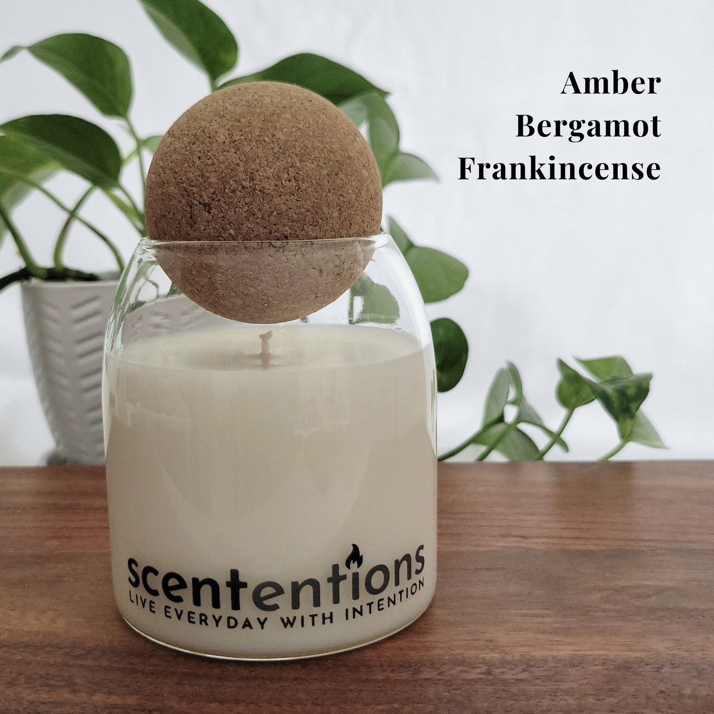 Wander + Wonder Signature Candle with cinnamon, sugar plum, and sandalwood, made with organic coconut wax by Scententions.