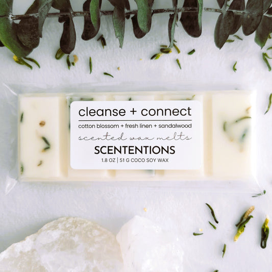 CLEANSE + CONNECT WAX MELT SNAP BAR