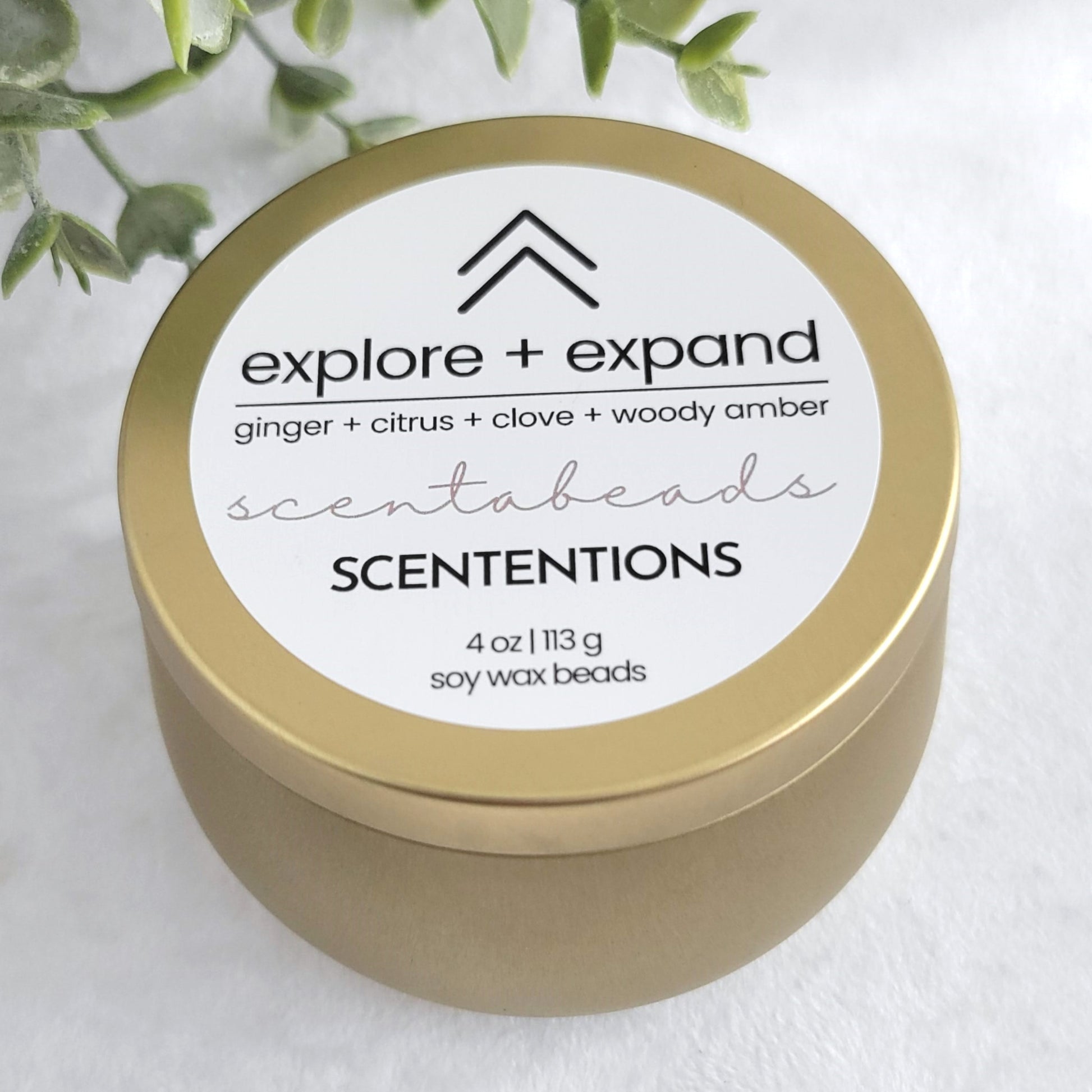 Explore + Expand wax melt beads in eco-friendly tin with bold, invigorating scent blend and wooden scoop